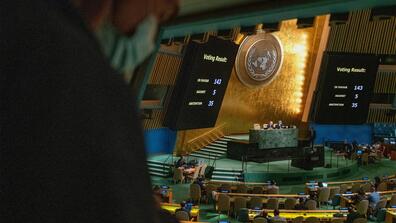 picture of UN Chamber