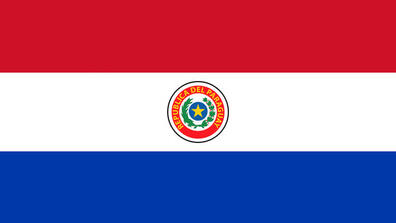 The flag of the Republic of Paraguay