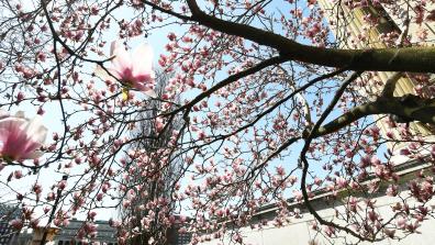 Columbia Campus - spring 