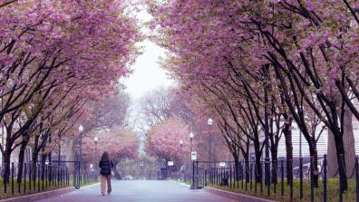 Columbia Campus in Spring 