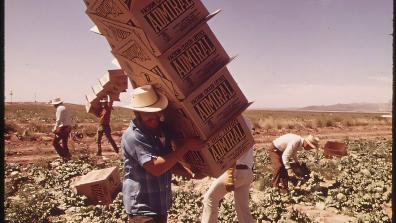 High heat is preferentially killing the young, not the old, research finds