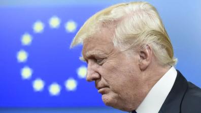 shapirotrump 