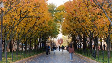 CollegeWalk