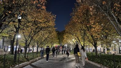 OAD_2023Winter_Exterior_Night_Autumn_Leaves_College_Walk_Morningside3.JPG