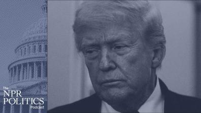 Does the president own presidential records?