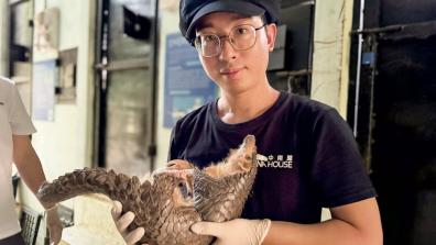 The Wildlife Conservationist Fighting the Pangolin Trade