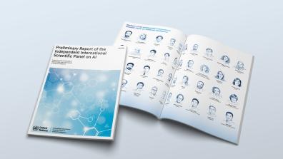 Preliminary Report of the Independent International Scientific Panel on AI: Evidence-based assessment of opportunities, risks and impacts of AI 