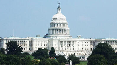 Pathways To Politics