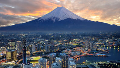 Japan's environmental impact