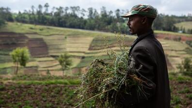 African farmer