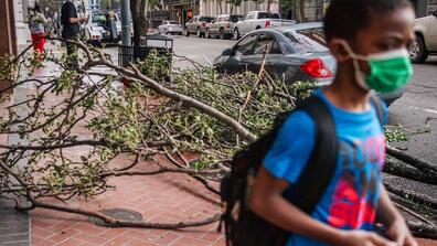 A child in a mask walks in front of a fallen tree branch