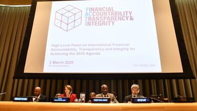 UN Panel