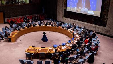 The United Nations Security Council