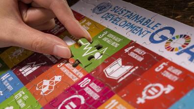 SDG puzzle