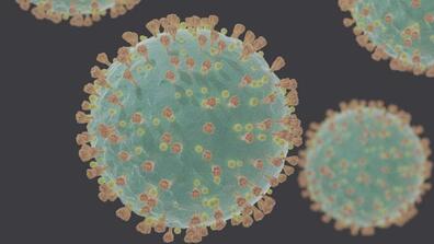 Coronavirus SARS-CoV-2 - courtesy Felipe Esquivel Reed via Wikimedia Commons