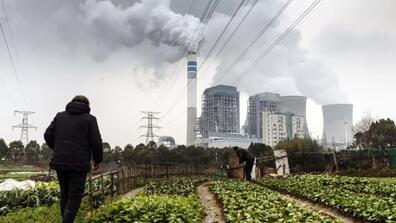 People tend to vegetables growing in a field as emission rises from cooling towers at a coal-fired power station in Tongling, Anhui province, China