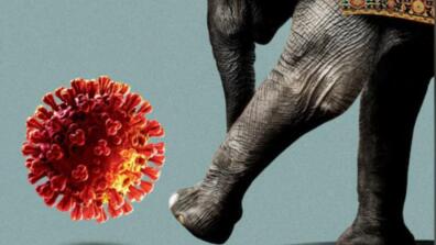 an illustration of an elephant kicking toward a COVID virus