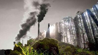 an illustration of a forest and a smokestack