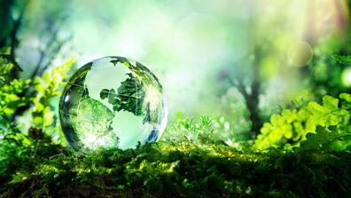 A glass globe against greenery