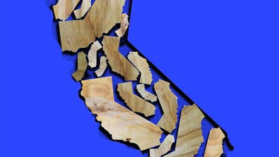 A California Map composed of smaller California-shaped pieces
