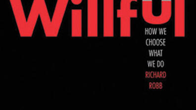 wilful