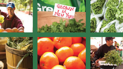 migrated/images/green-carts-report.jpg