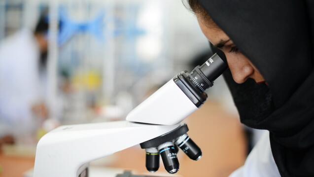 A person looking through a microscope