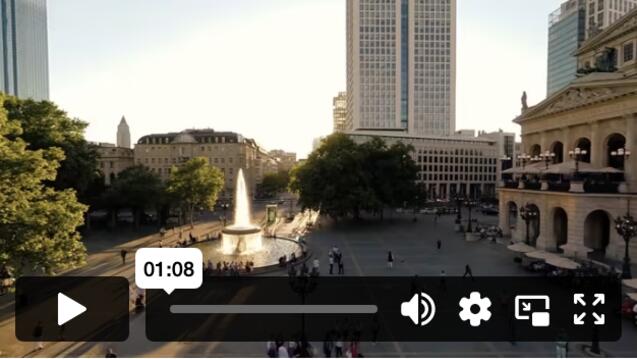 Video Screenshot