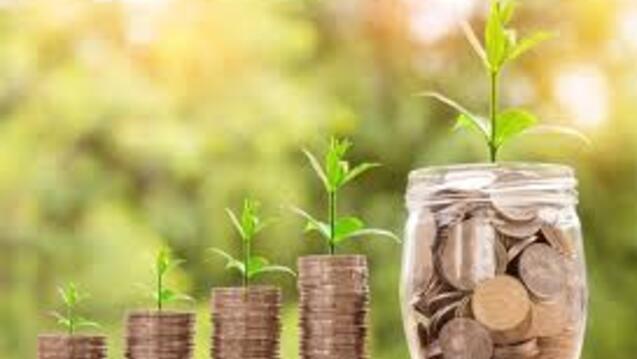 4 stacks of coins with plant sprouts out the top, followed by jar of coins with plant sprout out of the top.