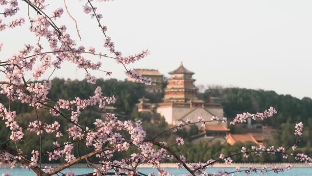 pexels-zhangkaiyv-15937142