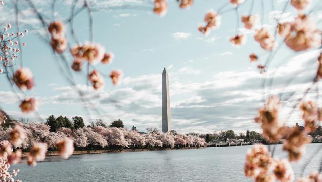 Washington DC