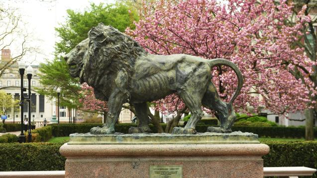 columbia lion