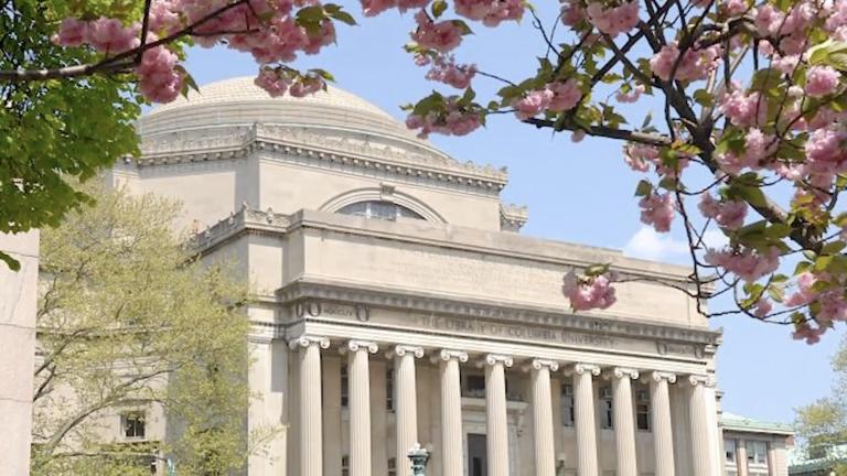 Low Library Cherry Blossoms