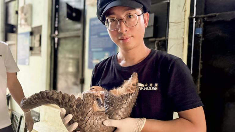 The Wildlife Conservationist Fighting the Pangolin Trade