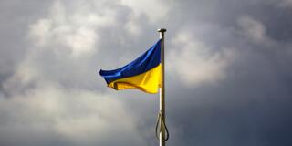 Ukraine Flag