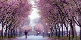 Columbia Campus in Spring 
