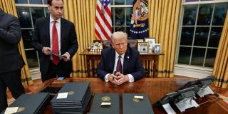 shapirotrump