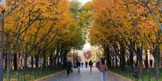 CollegeWalk