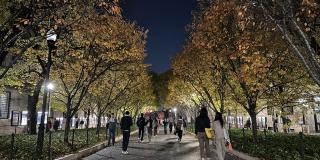 OAD_2023Winter_Exterior_Night_Autumn_Leaves_College_Walk_Morningside3.JPG