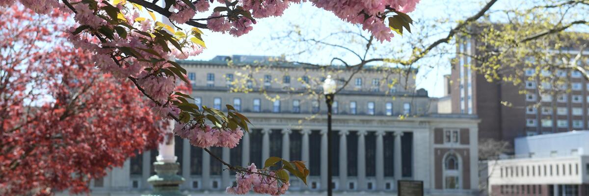 Butler Library Spring