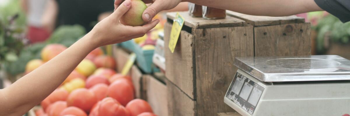 hands holding an apple