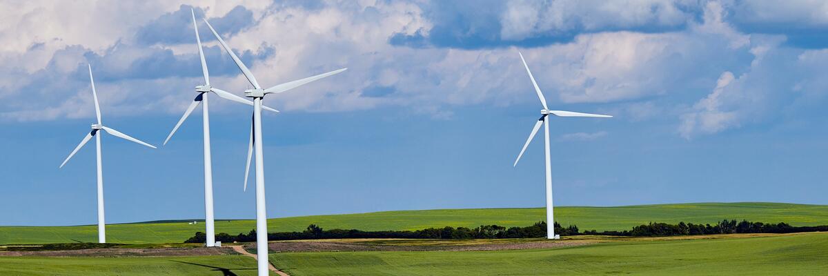 wind turbine in a field