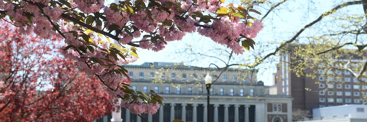 Columbia Campus – Spring