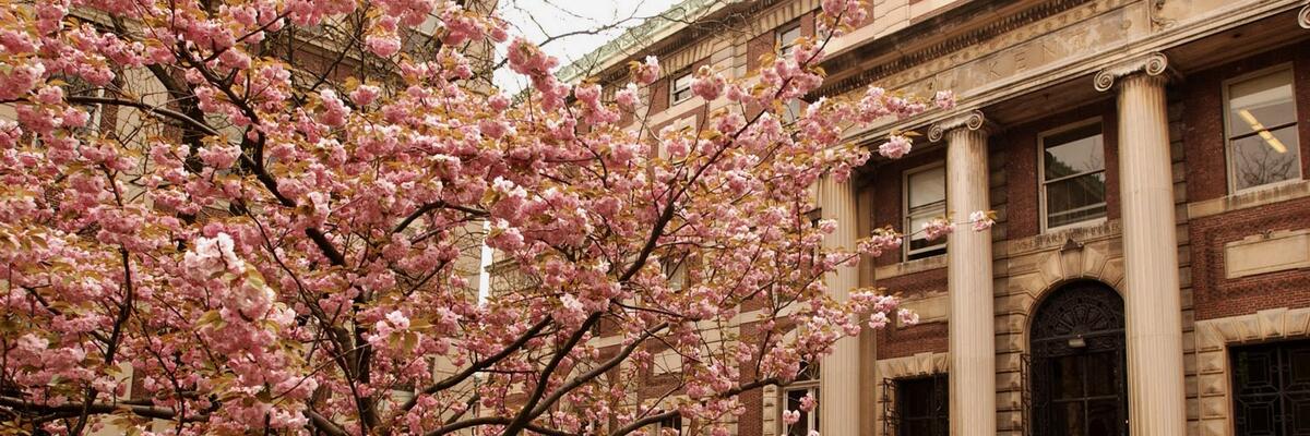 OPA_20070503_Spring-Blossoms_Kent-Hall_Eileen-Barroso (1)