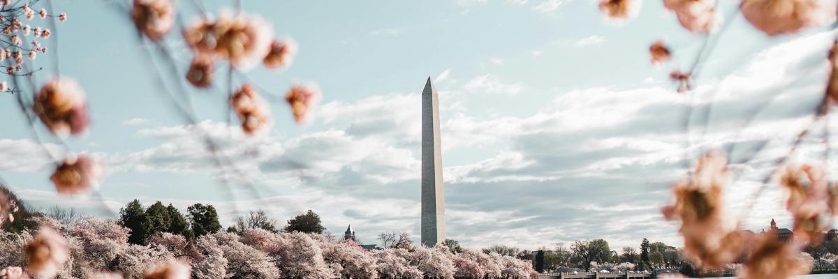 Washington DC