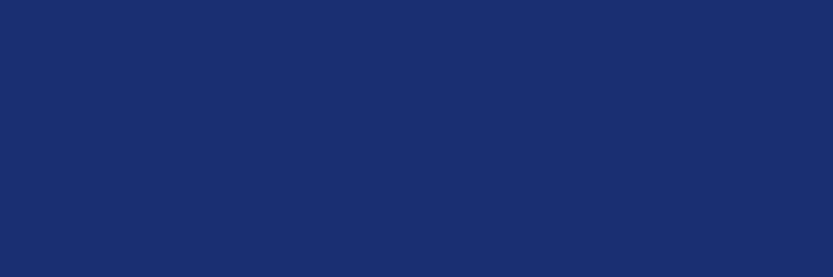 Navy Background Color