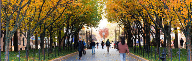 Fall on Columbia Campus