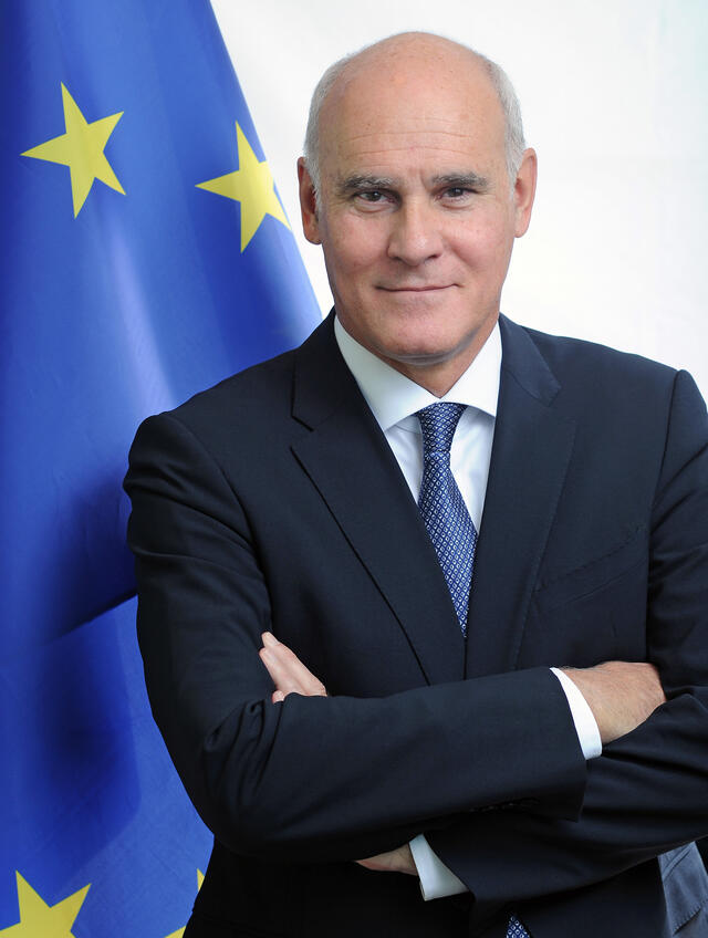 Ambassador João Vale de Almeida - portrait