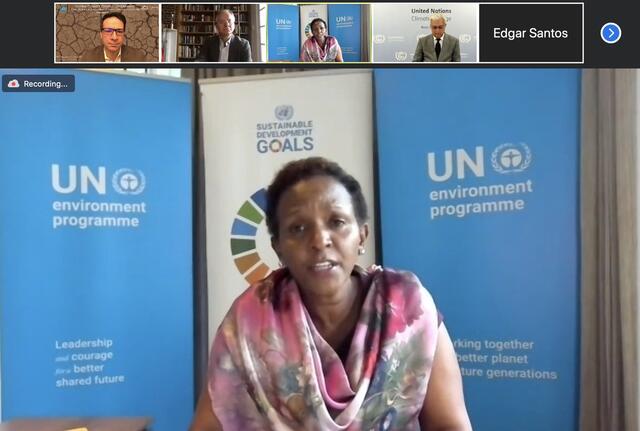 Joyce Msuya of UNEP was among the speakers at a December 2 panel discussion hosted by SIPA's IO/UN specialization and others.