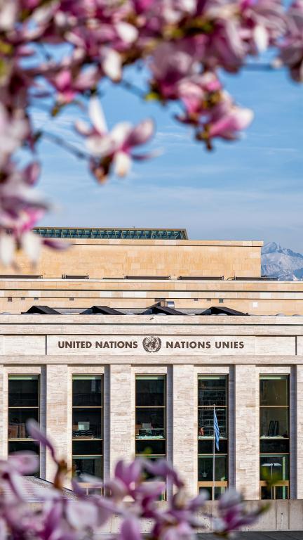 cheng-lin-ufyM0Zjhr8I-unsplash